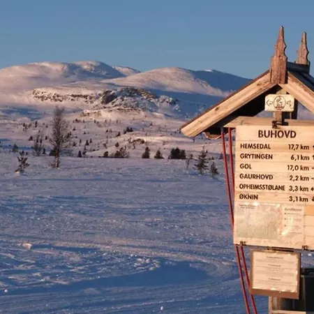 Nydelig Hyttetun Pa Torpoasen 펜션 Torpo