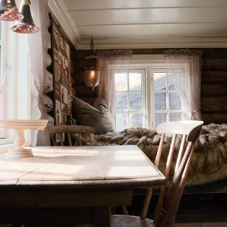 Nydelig Hyttetun På Torpoåsen