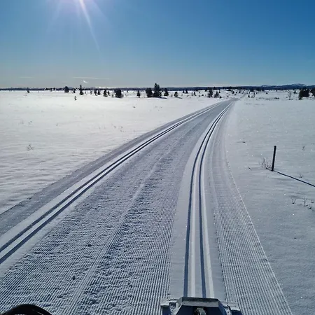 Nydelig Hyttetun Pa Torpoasen *