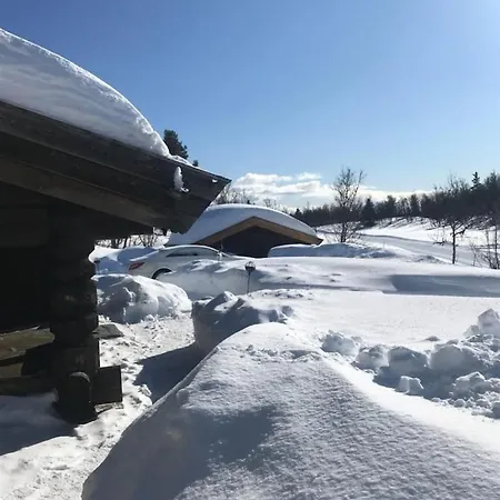Nydelig Hyttetun Pa Torpoasen