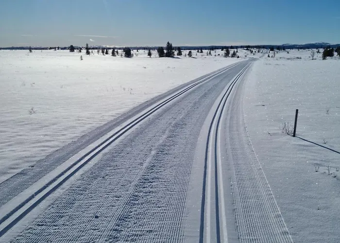 Nydelig Hyttetun Pa Torpoasen *
